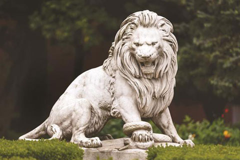 Marble big garden roaring lion statues in front of house