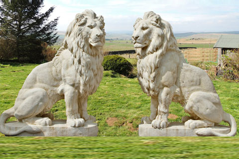 Outdoor big lion statues pair for sale