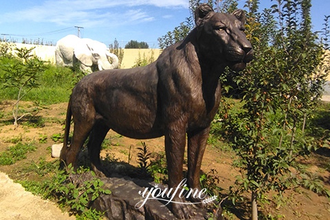 bronze lioness sculpture