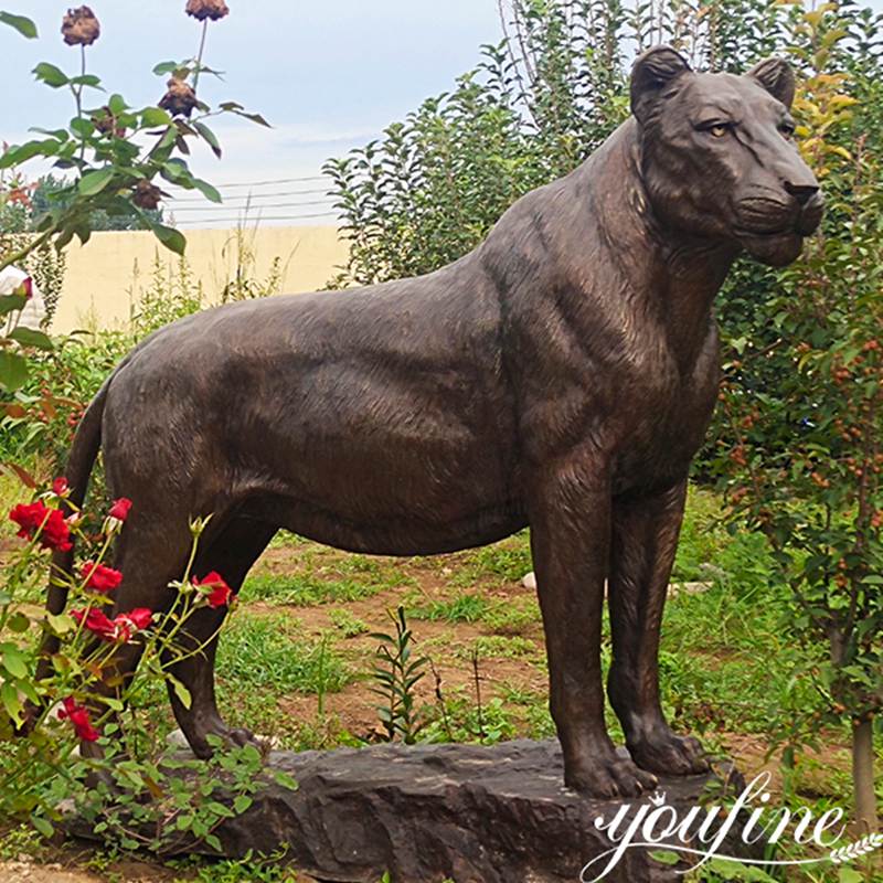 details show for the bronze lioness sculpture