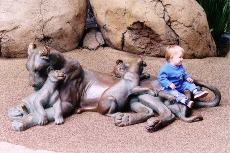 Suitable for Outdoor Family Entertainment