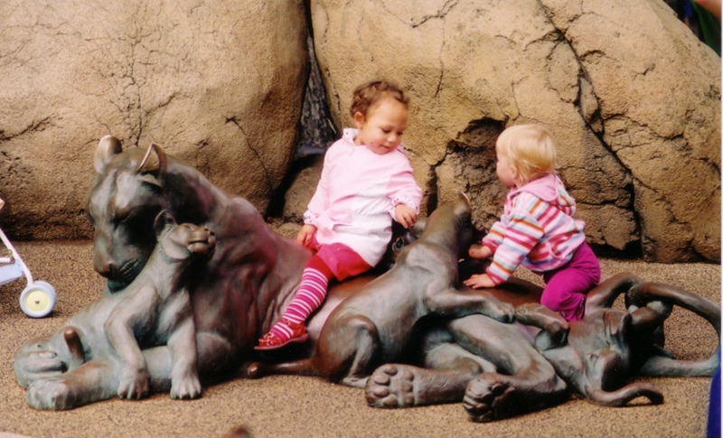 Suitable for Outdoor Family Entertainment